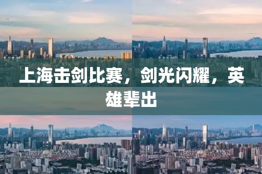 上海击剑比赛，剑光闪耀，英雄辈出