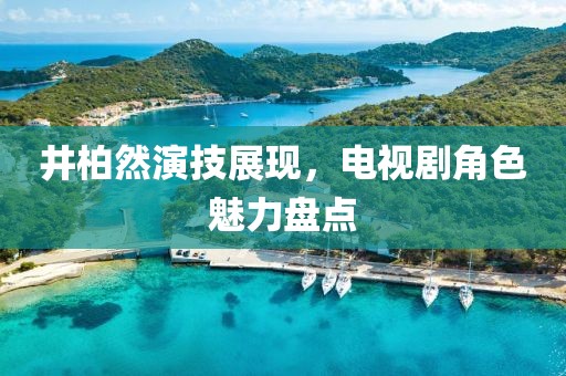 井柏然演技展现，电视剧角色魅力盘点