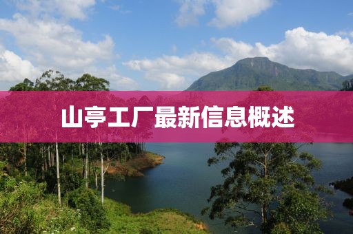 山亭工厂最新信息概述