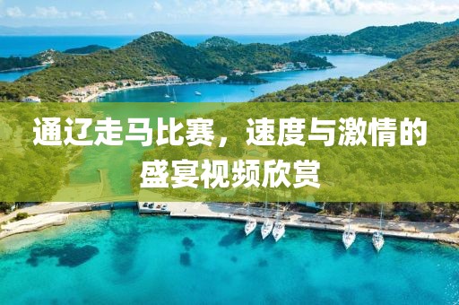通辽走马比赛，速度与激情的盛宴视频欣赏
