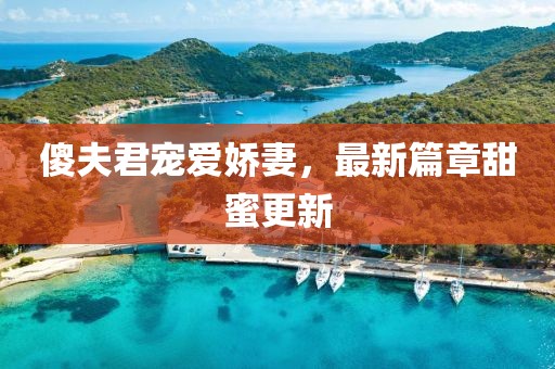 傻夫君宠爱娇妻，最新篇章甜蜜更新