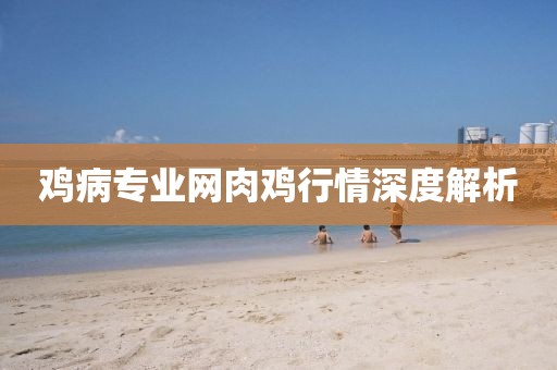 鸡病专业网肉鸡行情深度解析