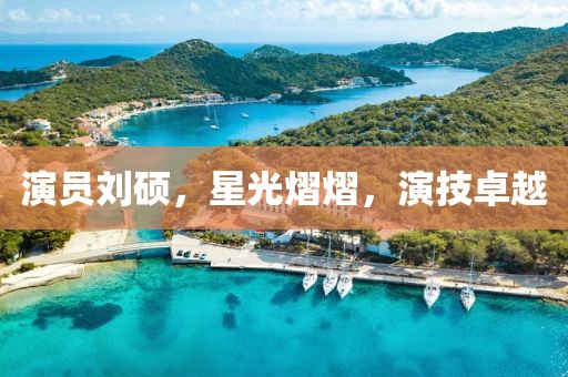 演员刘硕，星光熠熠，演技卓越