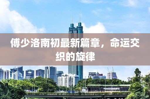 傅少洛南初最新篇章，命运交织的旋律