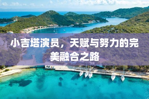 小吉塔演员，天赋与努力的完美融合之路
