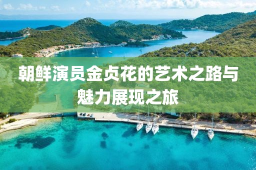 朝鲜演员金贞花的艺术之路与魅力展现之旅