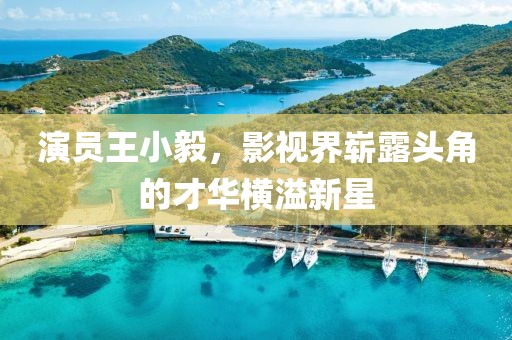 演员王小毅，影视界崭露头角的才华横溢新星