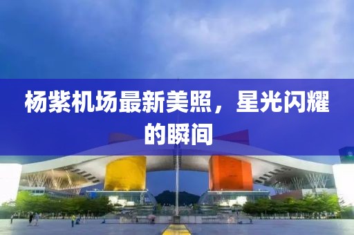 杨紫机场最新美照，星光闪耀的瞬间