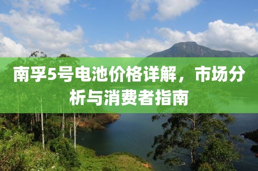 南孚5号电池价格详解，市场分析与消费者指南