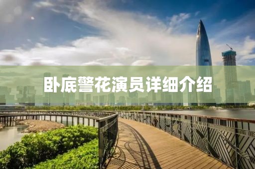 卧底警花演员详细介绍