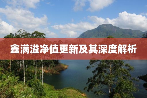 鑫满溢净值更新及其深度解析