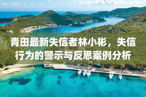 青田最新失信者林小彬，失信行为的警示与反思案例分析
