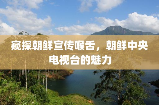 窥探朝鲜宣传喉舌，朝鲜中央电视台的魅力