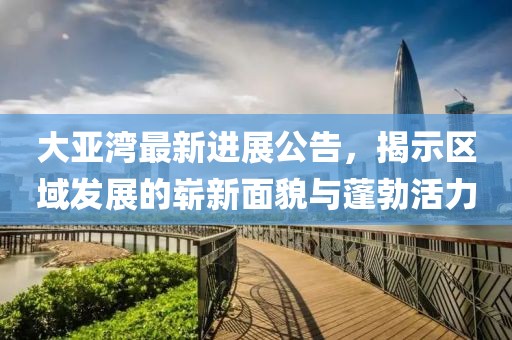 大亚湾最新进展公告，揭示区域发展的崭新面貌与蓬勃活力