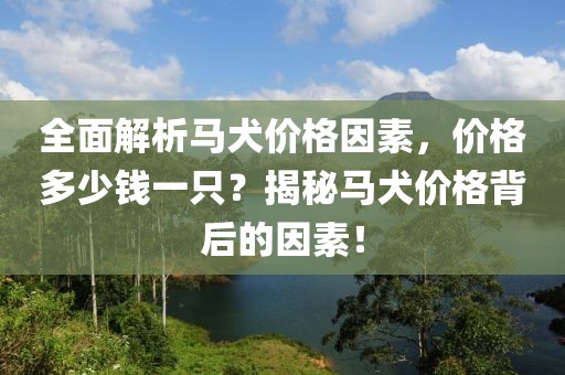 全面解析马犬价格因素，价格多少钱一只？揭秘马犬价格背后的因素！