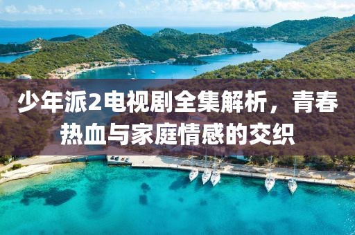 少年派2电视剧全集解析，青春热血与家庭情感的交织