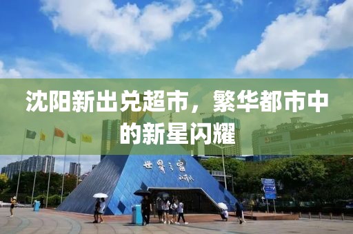 沈阳新出兑超市，繁华都市中的新星闪耀