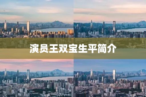 演员王双宝生平简介