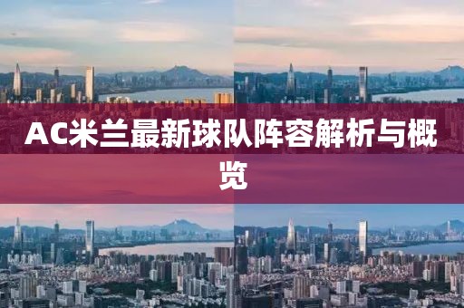 AC米兰最新球队阵容解析与概览