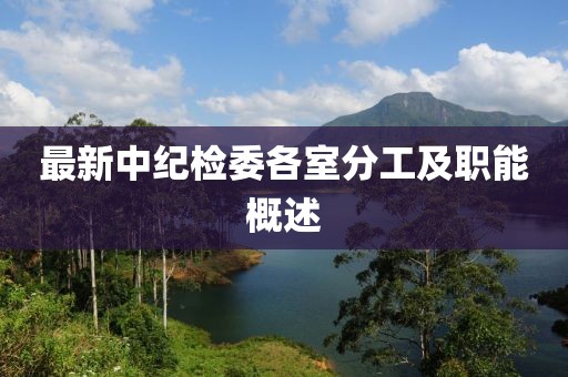 最新中纪检委各室分工及职能概述