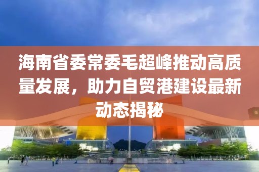 海南省委常委毛超峰推动高质量发展，助力自贸港建设最新动态揭秘