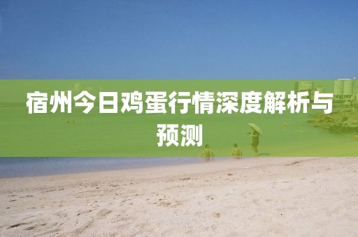宿州今日鸡蛋行情深度解析与预测