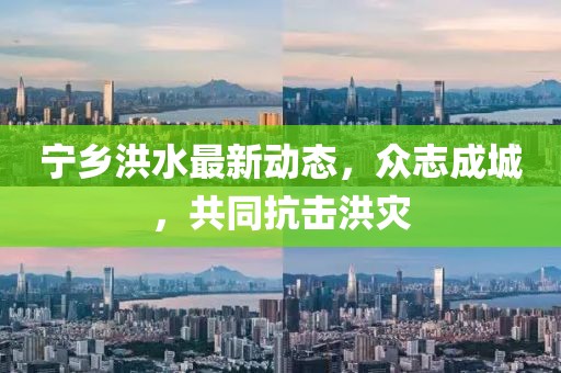 宁乡洪水最新动态，众志成城，共同抗击洪灾