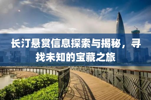 长汀悬赏信息探索与揭秘，寻找未知的宝藏之旅