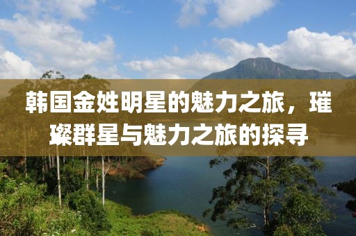 韩国金姓明星的魅力之旅，璀璨群星与魅力之旅的探寻