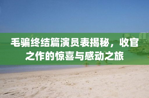 毛骗终结篇演员表揭秘，收官之作的惊喜与感动之旅