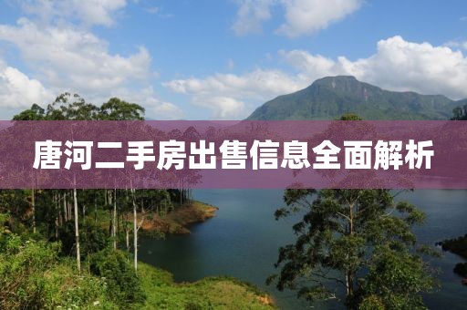 唐河二手房出售信息全面解析