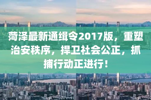 菏泽最新通缉令2017版，重塑治安秩序，捍卫社会公正，抓捕行动正进行！