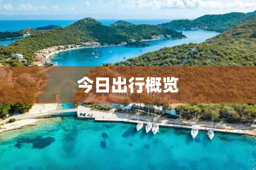 今日出行概览