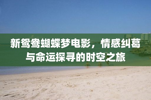 新鸳鸯蝴蝶梦电影，情感纠葛与命运探寻的时空之旅