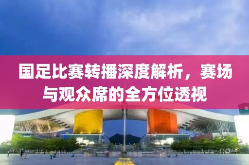国足比赛转播深度解析，赛场与观众席的全方位透视