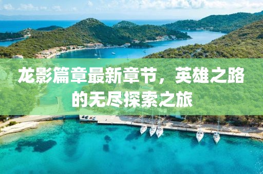 龙影篇章最新章节，英雄之路的无尽探索之旅
