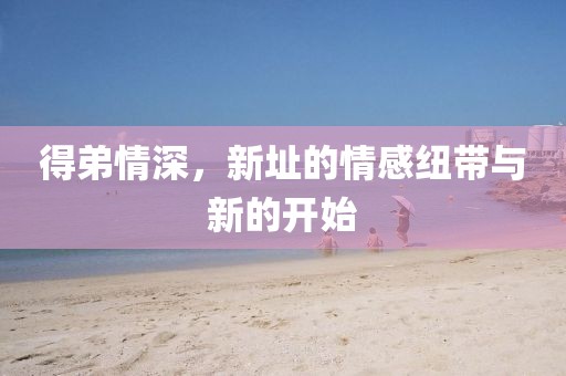 得弟情深，新址的情感纽带与新的开始