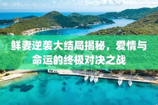 鲜妻逆袭大结局揭秘，爱情与命运的终极对决之战