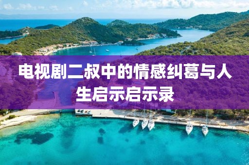 电视剧二叔中的情感纠葛与人生启示启示录
