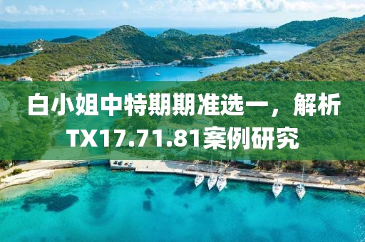 白小姐中特期期准选一，解析TX17.71.81案例研究