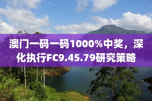 澳门一码一码1000%中奖，深化执行FC9.45.79研究策略