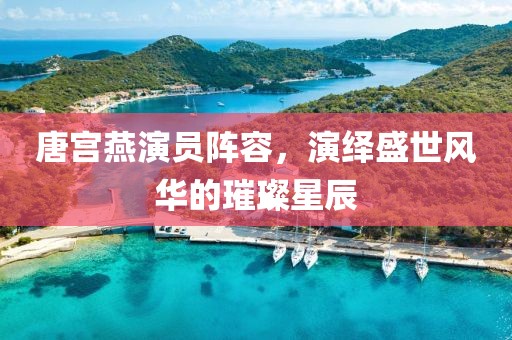 唐宫燕演员阵容，演绎盛世风华的璀璨星辰