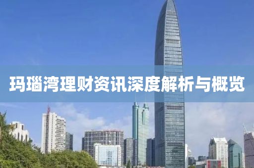 玛瑙湾理财资讯深度解析与概览
