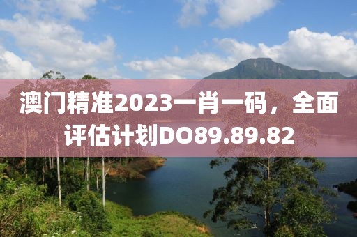 澳门精准2023一肖一码，全面评估计划DO89.89.82