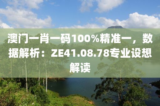 澳门一肖一码100%精准一，数据解析：ZE41.08.78专业设想解读