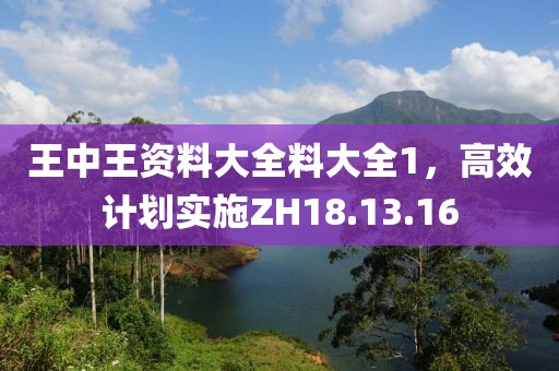 王中王资料大全料大全1，高效计划实施ZH18.13.16