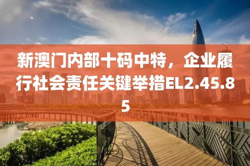新澳门内部十码中特，企业履行社会责任关键举措EL2.45.85