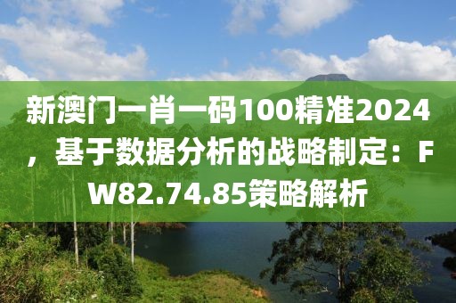 新澳门一肖一码100精准2024，基于数据分析的战略制定：FW82.74.85策略解析
