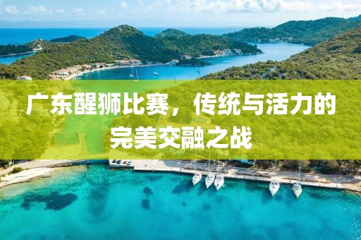 广东醒狮比赛，传统与活力的完美交融之战