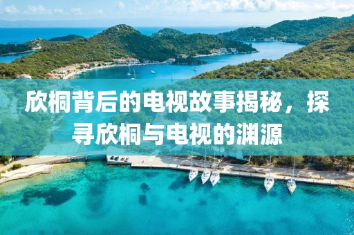 欣桐背后的电视故事揭秘，探寻欣桐与电视的渊源